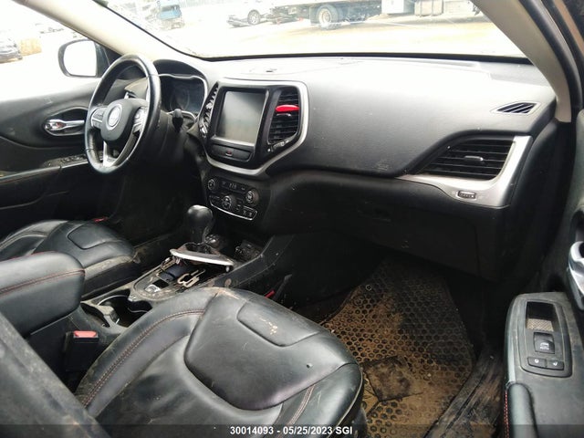 1C4PJMBS6GW224589 Jeep Cherokee Trailhawk