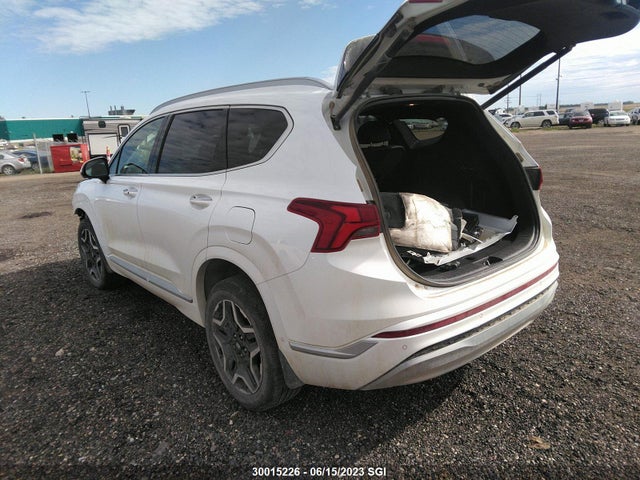 Hyundai Santa Fe Calligraphy 2021 5NMS5DAL8MH324197 Image 4