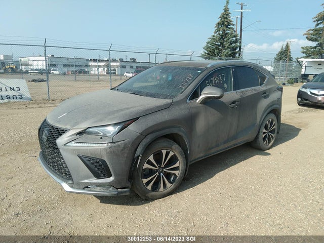 JTJBARBZ4J2171777 Lexus Nx 300/base/f Sport