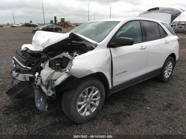 Chevrolet EQUINOX LS 2019 2GNAXSEV7K6189845 Image 2