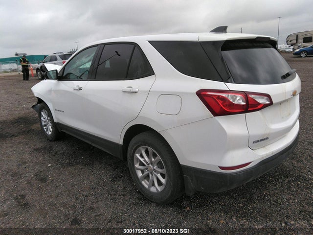 Chevrolet EQUINOX LS 2019 2GNAXSEV7K6189845 Image 3