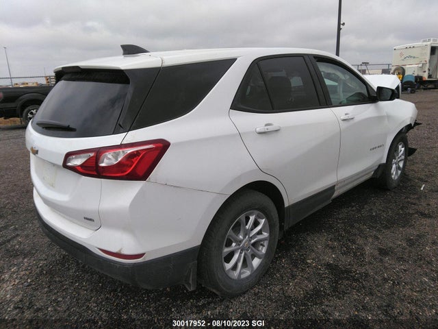 Chevrolet EQUINOX LS 2019 2GNAXSEV7K6189845 Image 4