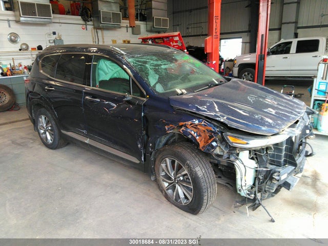 Hyundai Santa Fe Sel/sel Plus 2019 5NMS3CAA0KH110686 zdjęcie główne