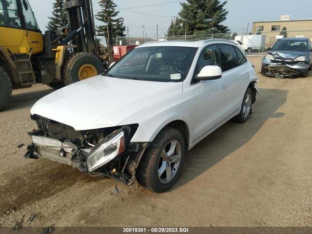WA1CMCFP1FA053424 Audi Q5 Tdi/premium Plus