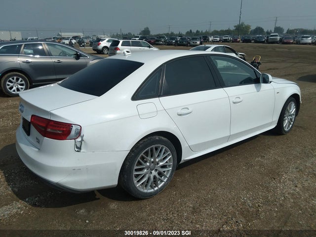 WAUBFCFL5FN003804 Audi A4 PREMIUM