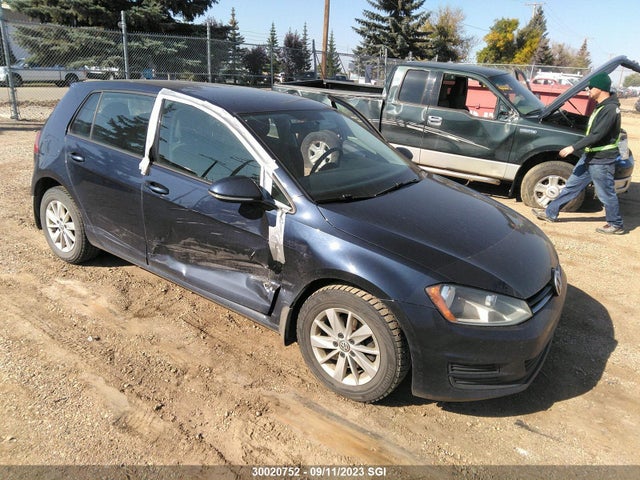 3VW217AU6FM031191 auction archive image