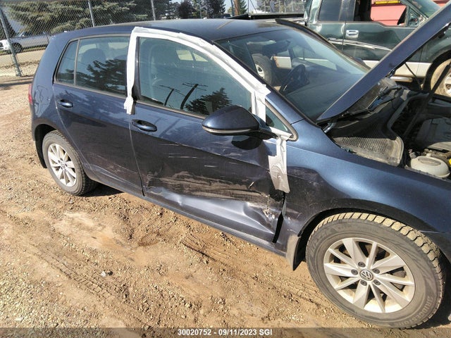 3VW217AU6FM031191 Volkswagen Golf Trendline/highline