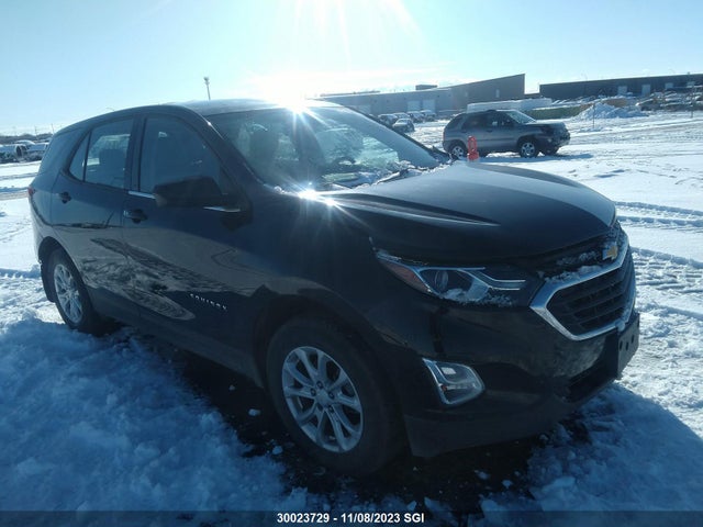 Chevrolet EQUINOX LS 2019 2GNAXSEVXK6146018 main image