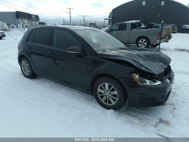 3VW217AU8GM059821 auction archive image