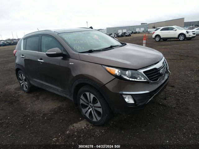 Auction sale of the 2013 Kia Sportage Ex, vin: KNDPCCA2XD7402516, lot number: 30036278