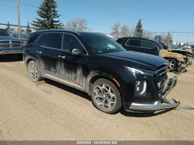 Hyundai Palisade Limited 2022 KM8R5DHE0NU346027 Image 1