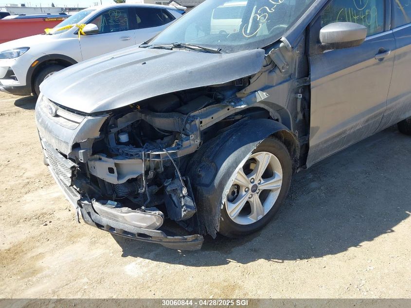 2014 Ford Escape Se VIN: 1FMCU9G93EUC32677 Lot: 30060844