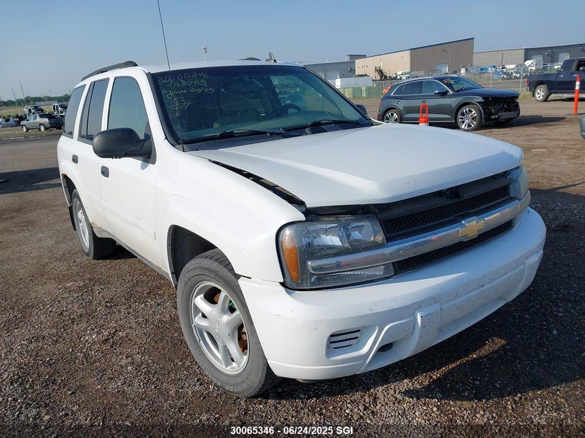 1GNDT13S872163755 2007 Chevrolet Trailblazer Ls/Lt auction photo 1