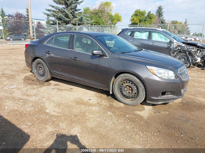1G11D5RR5DF115700 2013 Chevrolet Malibu 1Lt auction photo 1