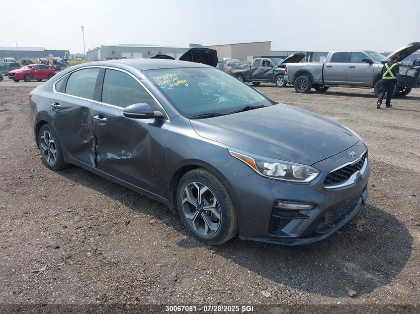 2020 Kia Forte Ex VIN: 3KPF54AD4LE220791 Lot: 30067081