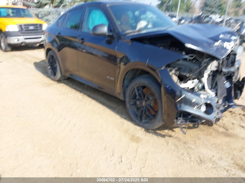 2017 BMW X6 xDrive50I VIN: 5UXKU6C38H0W38402 Lot: 30064702