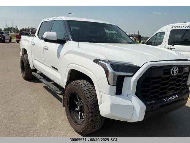 2022 Toyota Tundra Crewmax Sr/Crewmax Sr5 VIN: 5TFLA5DB8NX024614 Lot: 30069531