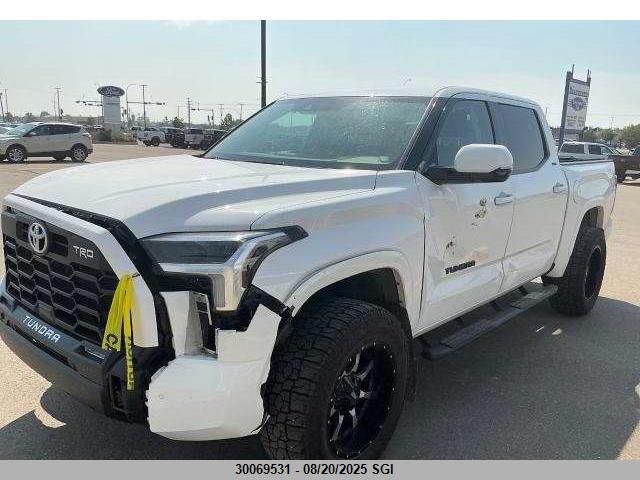 2022 Toyota Tundra Crewmax Sr/Crewmax Sr5 VIN: 5TFLA5DB8NX024614 Lot: 30069531
