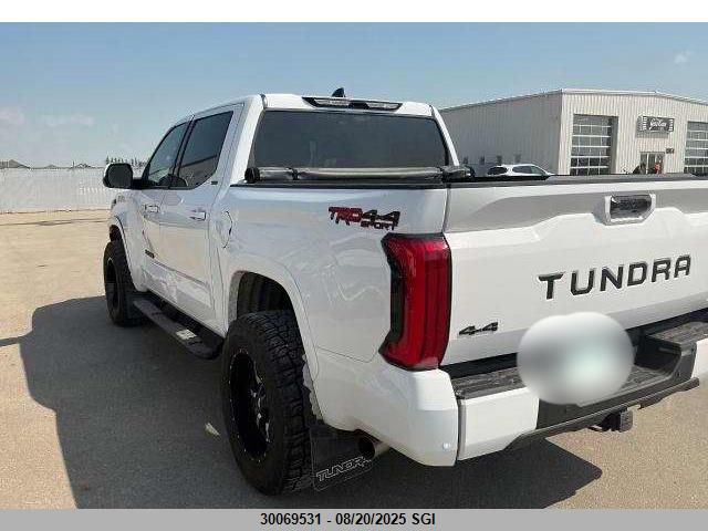 2022 Toyota Tundra Crewmax Sr/Crewmax Sr5 VIN: 5TFLA5DB8NX024614 Lot: 30069531