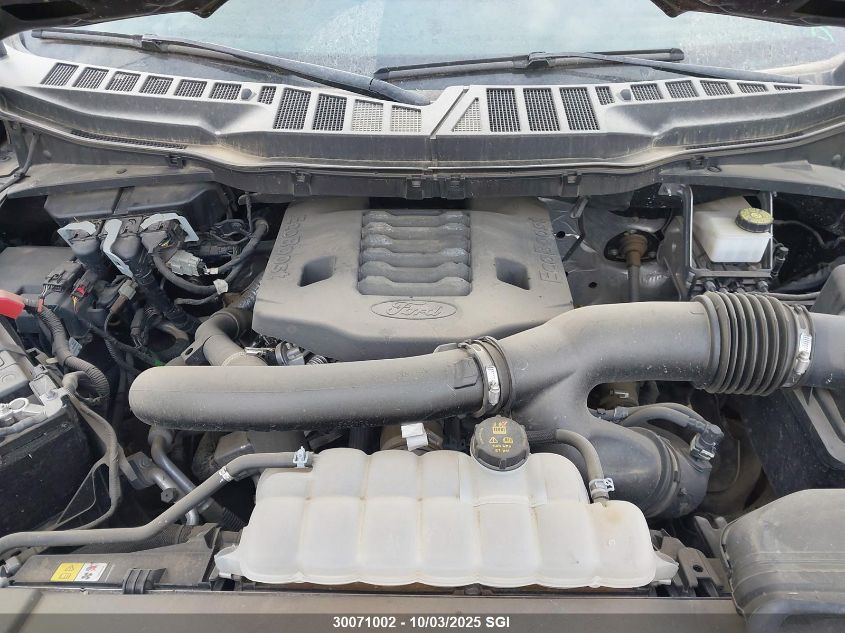 2021 Ford F150 Supercrew VIN: 1FTFW1E80MFC55571 Lot: 30071002