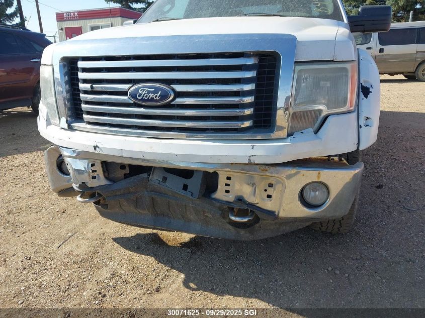 2010 Ford F-150 VIN: 1FTFW1EV1AFB99495 Lot: 30071625