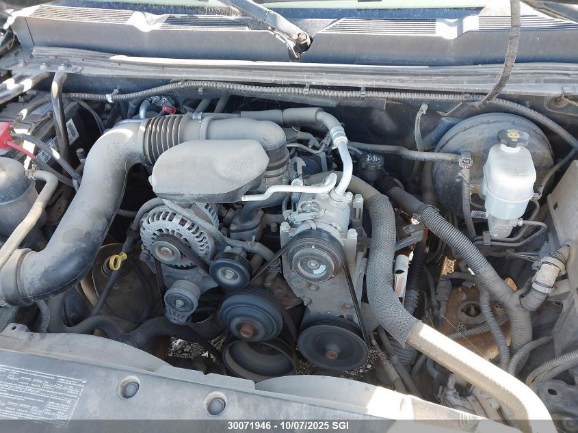 2010 Chevrolet Silverado C1500 VIN: 1GCSCPEX5AZ199719 Lot: 30071946