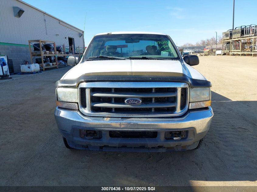 2002 Ford F250 Super Duty VIN: 1FTNX20L62EB18700 Lot: 30070436