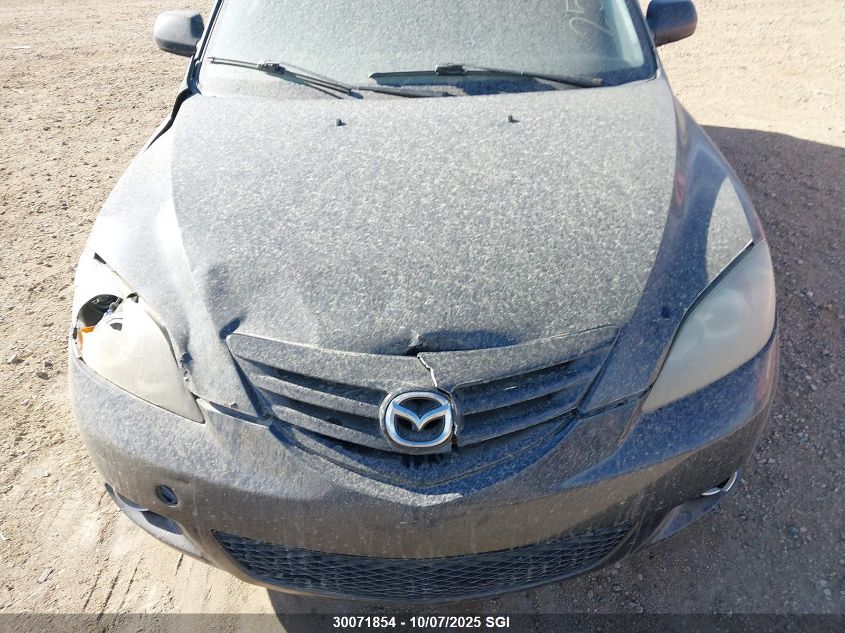 2005 Mazda 3 Hatchback VIN: JM1BK143251254856 Lot: 30071854