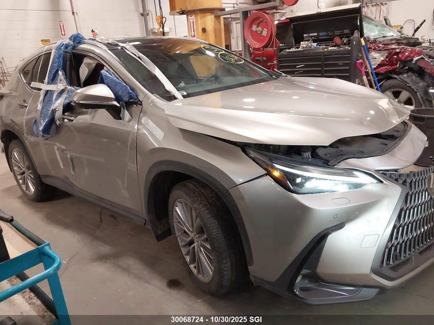 LEXUS NX 350H BASE/350H PREMIUM/350H LUXURY