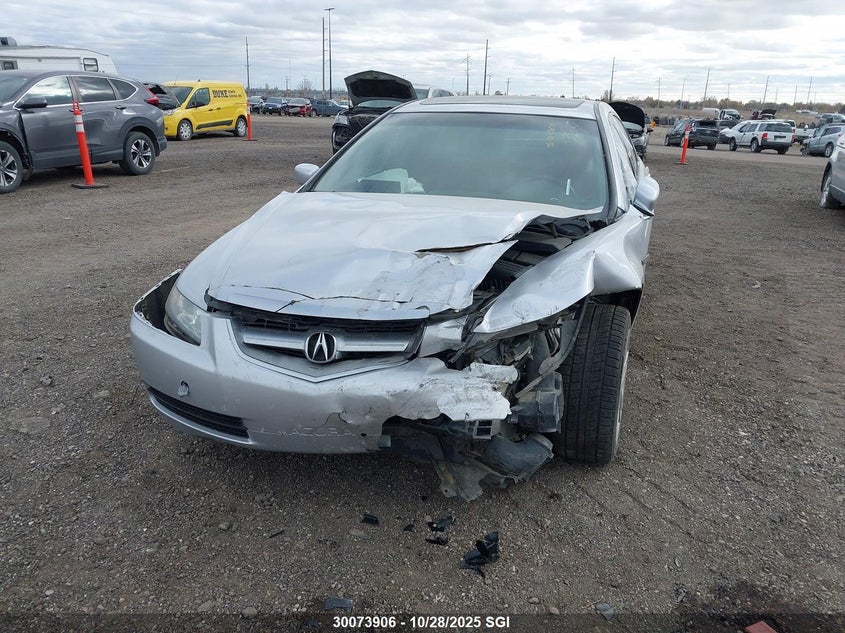 2004 Acura Tl VIN: 19UUA66254A039842 Lot: 30073906