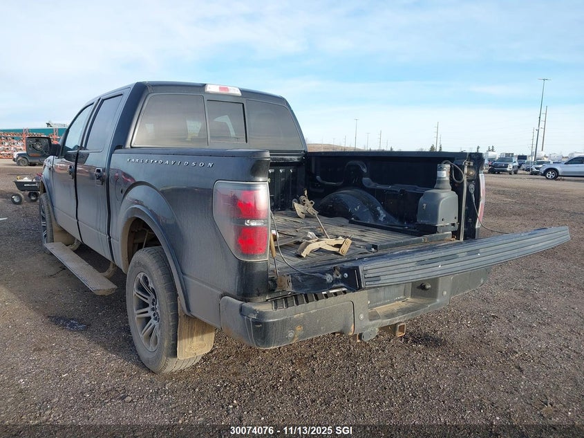 1FTFW1EV0AFC08476 2010 FORD F-150 photo no. 3