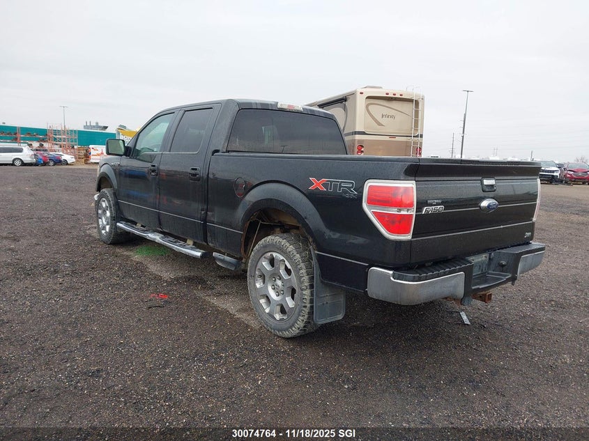1FTFW1EV8AFD67813 2010 FORD F-150 photo no. 3