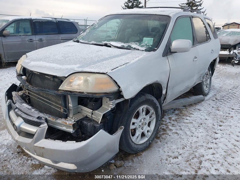 2004 Acura Mdx Touring VIN: 2HNYD18644H001959 Lot: 30073047