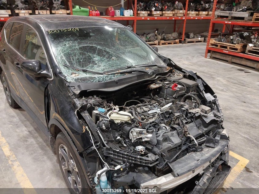 2019 Honda Cr-V Exl VIN: 2HKRW2H86KH123058 Lot: 30075269