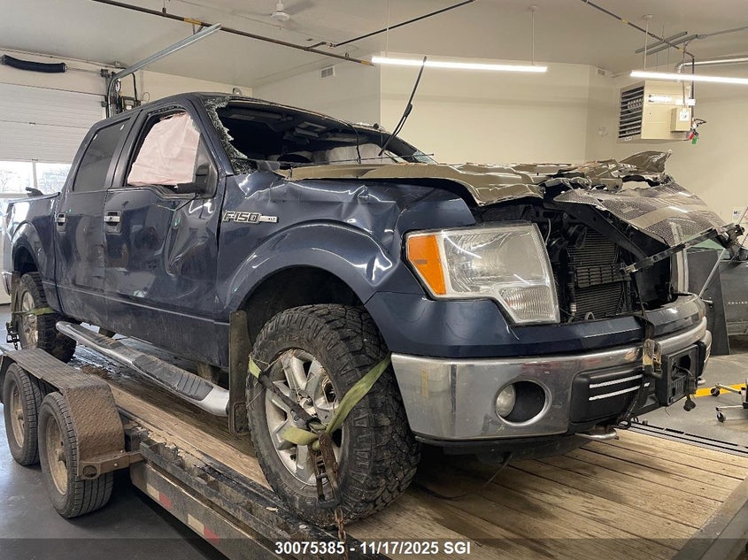 1FTFW1EF1EFB89922 2014 FORD F-150 photo no. 19