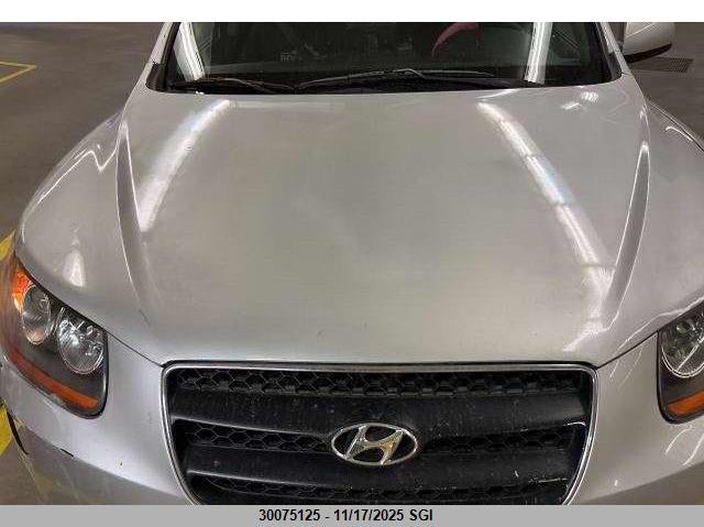 5NMSG73E68H155569 2008 HYUNDAI SANTA FE photo no. 8