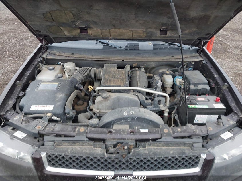 2008 Chevrolet Trailblazer Ls/Lt VIN: 1GNDT13S982176483 Lot: 30075489