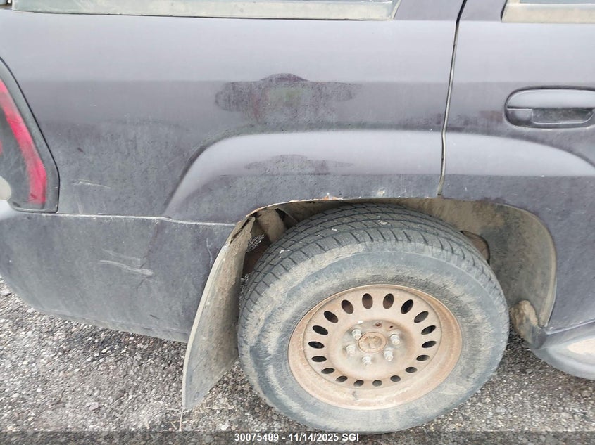 2008 Chevrolet Trailblazer Ls/Lt VIN: 1GNDT13S982176483 Lot: 30075489