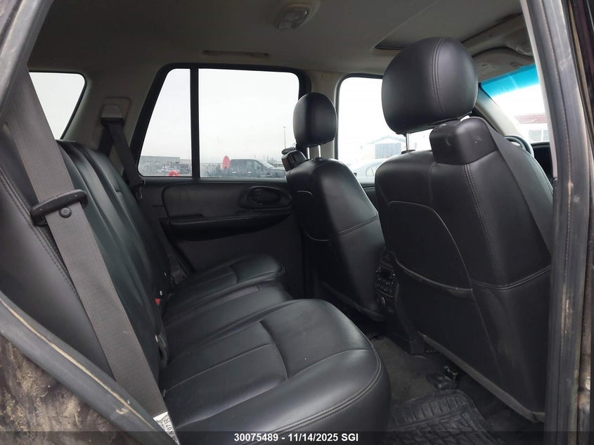 2008 Chevrolet Trailblazer Ls/Lt VIN: 1GNDT13S982176483 Lot: 30075489