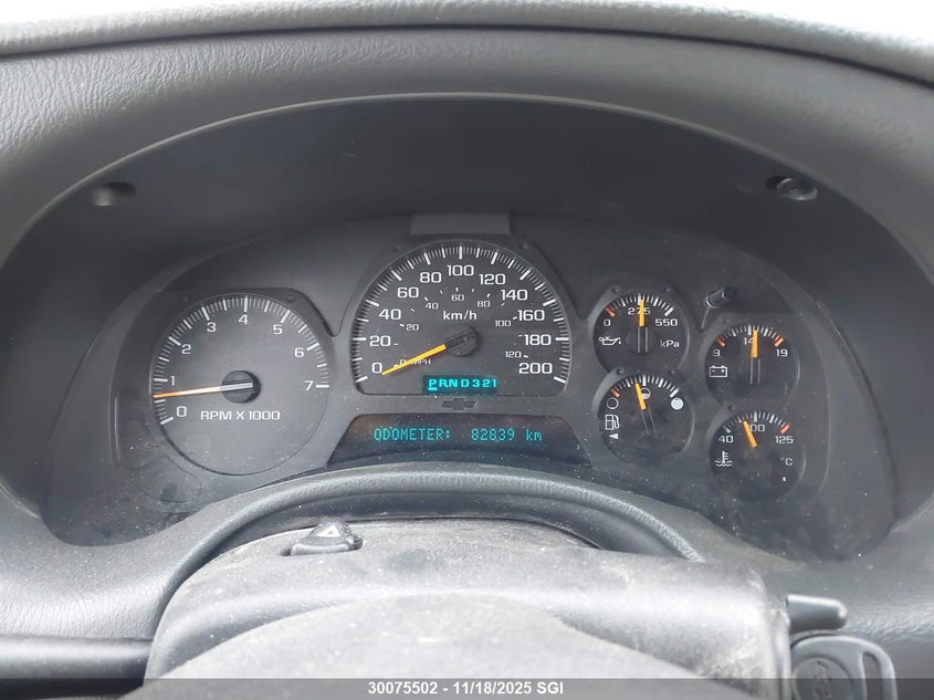 2002 Chevrolet Trailblazer VIN: 1GNDT13S622314763 Lot: 30075502