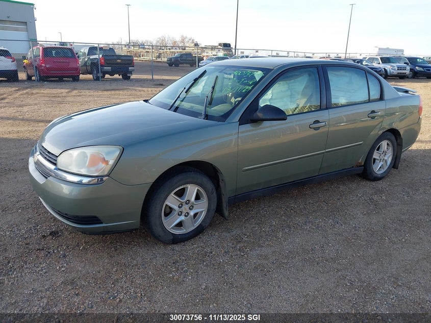 1G1ZT54845F113037 2005 CHEVROLET MALIBU photo no. 2