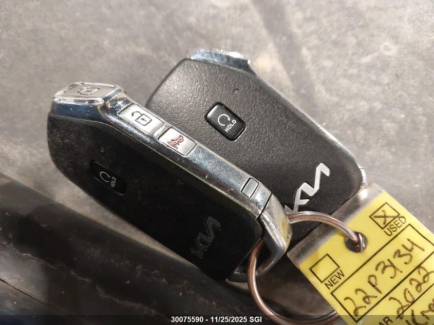 2022 Kia Sorento Lx VIN: 5XYRGDLC1NG113134 Lot: 30075590