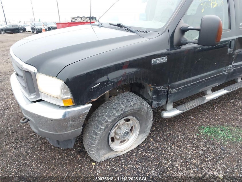 2003 Ford F350 Srw Super Duty VIN: 1FTSW31PX3EC88315 Lot: 30075618