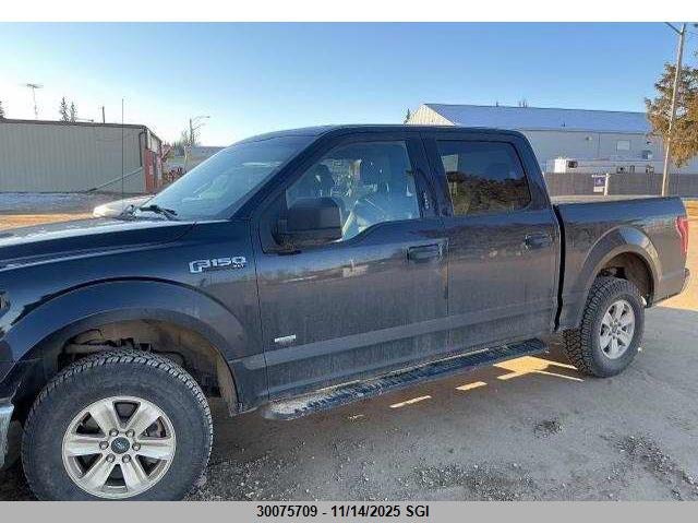 1FTEW1EP5FFC80150 2015 FORD F-150 photo no. 7