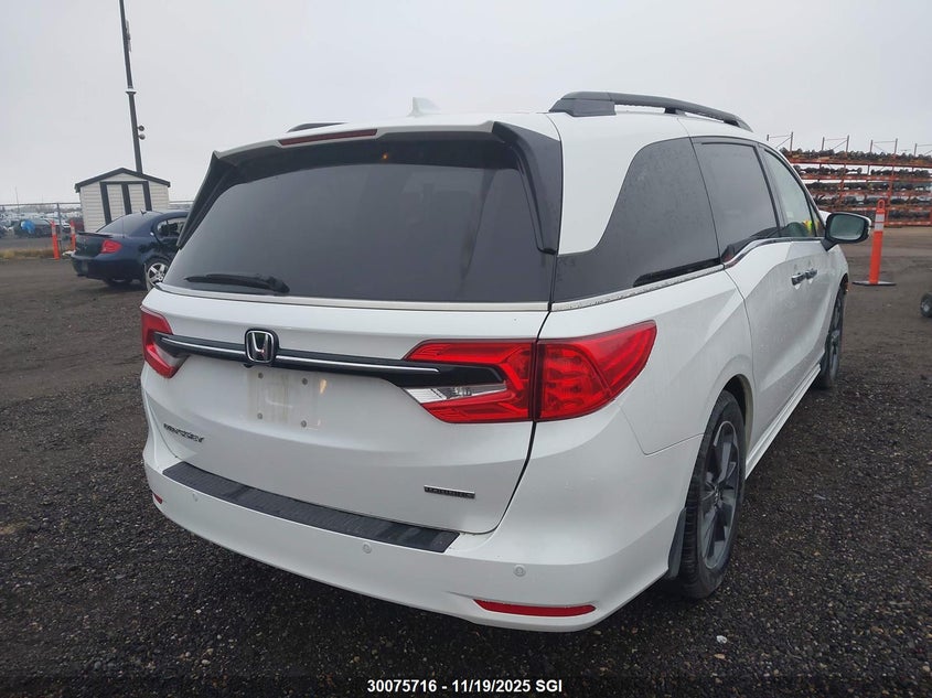 5FNRL6H89NB502512 2022 HONDA ODYSSEY photo no. 4