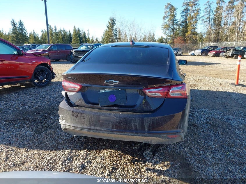 2021 Chevrolet Malibu Lt VIN: 1G1ZD5ST8MF083950 Lot: 30074899