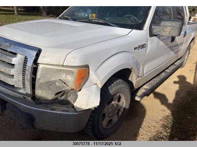1FTFW1EF3BFA96718 2011 FORD F-150 photo no. 2