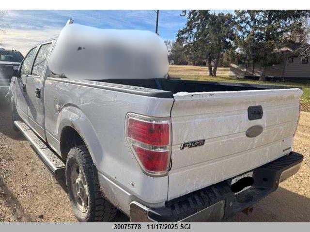 1FTFW1EF3BFA96718 2011 FORD F-150 photo no. 3