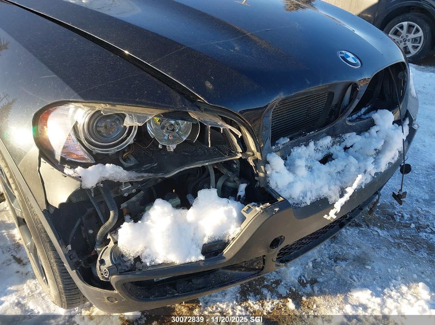 2010 BMW X5 xDrive35D VIN: 5UXFF0C52ALJ99311 Lot: 30072839