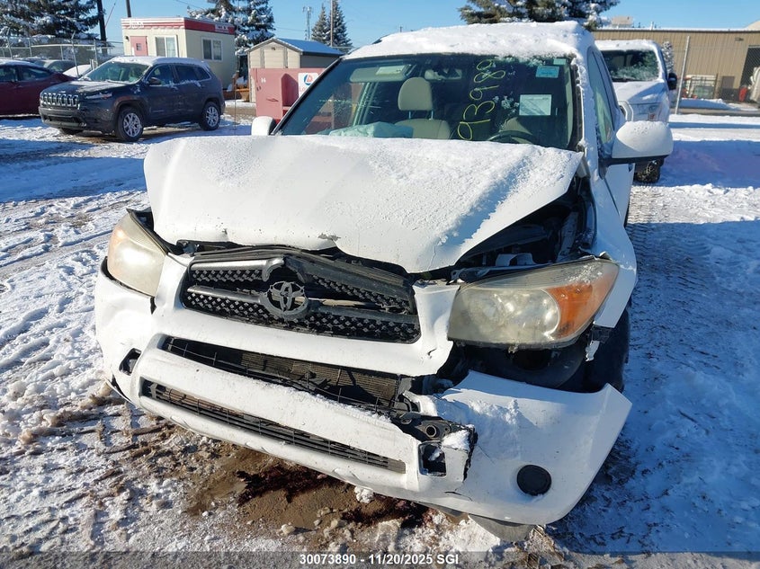 2008 Toyota Rav4 VIN: JTMBD33V385193989 Lot: 30073890